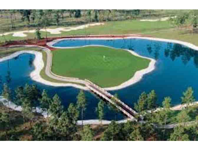 4 Greens Fees and Cart Fees at Brunswick Plantation Resort & Golf