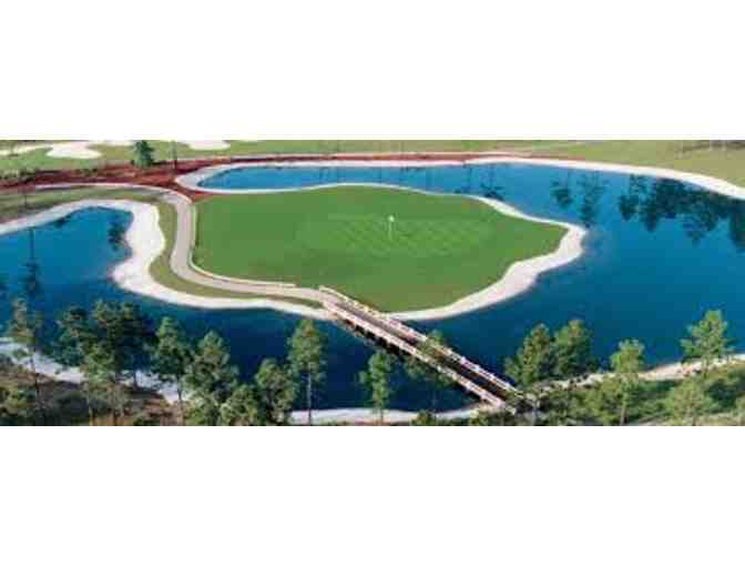 4 Greens Fees and Cart to Brunswick Plantation Resort & Golf