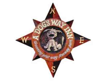 10 Days Daycare for 1 Dog from A Dog'd Way Inn