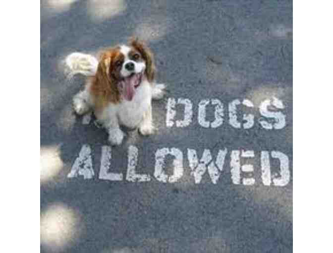 10 Days Daycare for 1 Dog from A Dog'd Way Inn