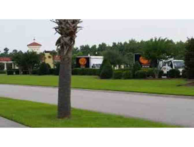 1 10' to 12' Sabal Palm Tree from Aggi's Landscape Co.