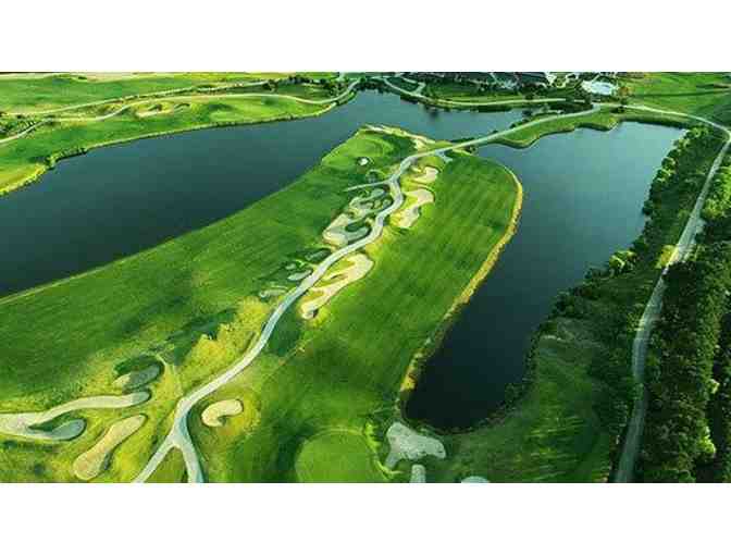 4 Greens Fees To Barefoot Resort and Golf or The Dye Club