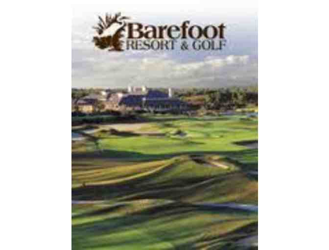 4 Greens Fees To Barefoot Resort and Golf or The Dye Club