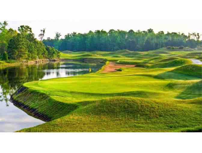 4 Greens Fees To Barefoot Resort and Golf or The Dye Club