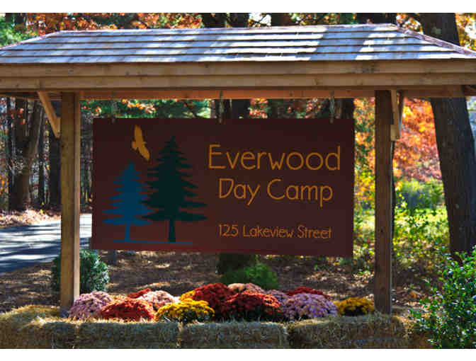 Everwood Day Camp 1 Week Day Camp Experience