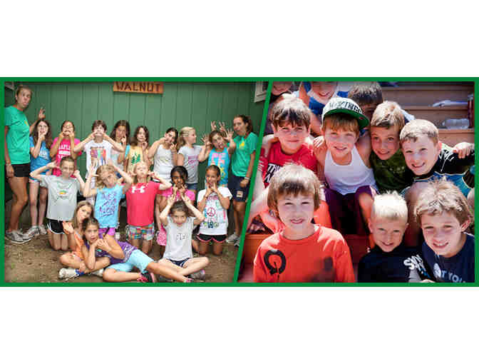 Everwood Day Camp 1 Week Day Camp Experience