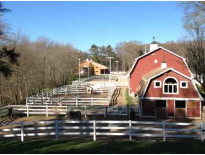 Horseback Riding Lessons