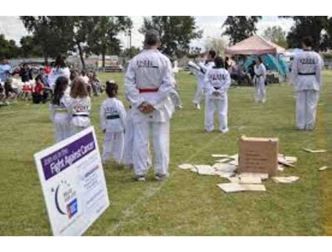 Xcel Taekwondo 3 Months of Lessons (2 Days a Week)