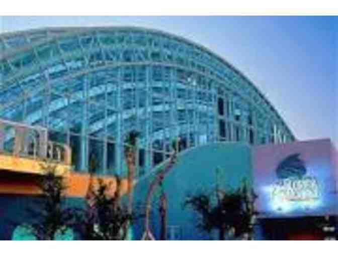 Hilton Tampa Downtown Weekend Stay plus 4 Florida Aquarium Tickets