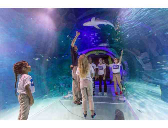 Take Pictures with the Stars, Mingle with the Sharks & Fly in Orlando's Sky