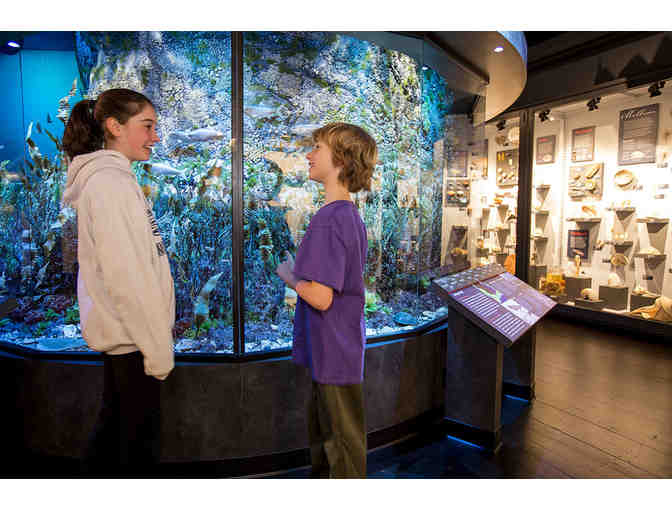 4 Passes to Harvard's Museum of Natural History