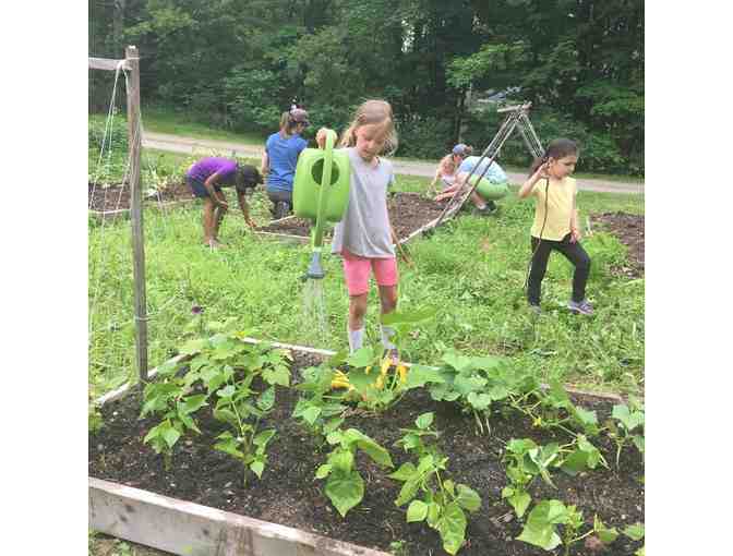 One Week at Allandale Farm Summer Camp