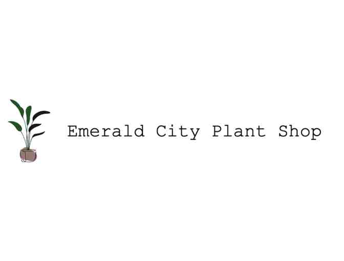 $50 Gift Card to Emerald City Plant Shop AND Plant Care 101 Class - Photo 1