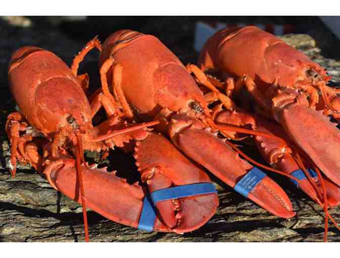 A Dozen 1lb. Lobsters - Photo 1