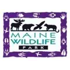 Maine Wildlife Park