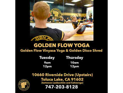 Golden Flow Vinyasa Yoga & Disco Shred w/Veronica Powell