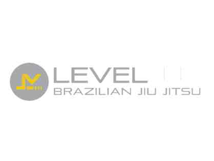 Level Up Brazilian Jiu Jitsu #2