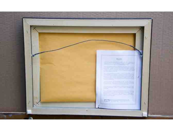 'Dragon Fly on Pickerel Weed' by Doug De La Matter