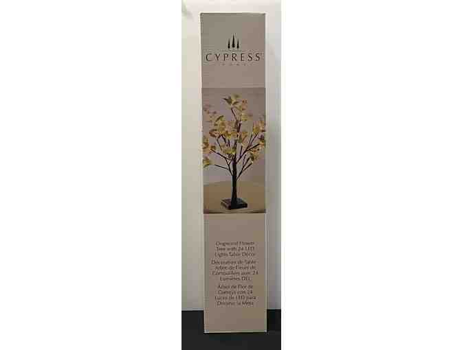 Complement Your Decor