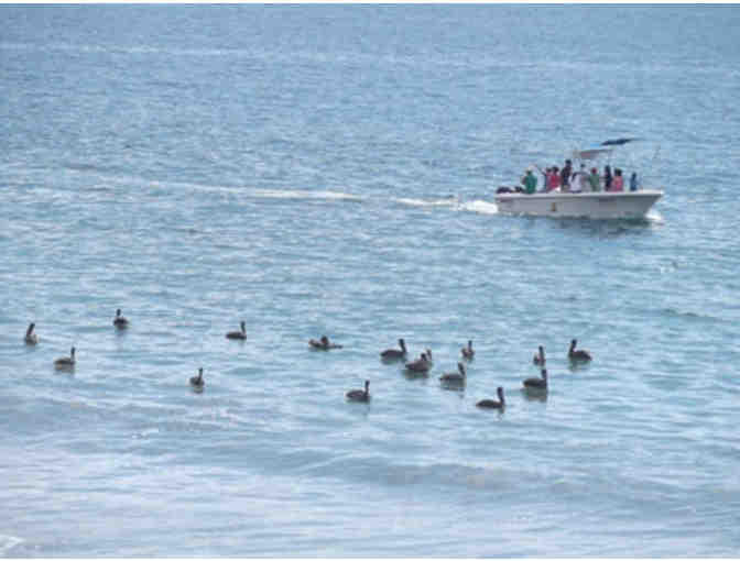 One Week Stay in Manzanillo, Mexico!