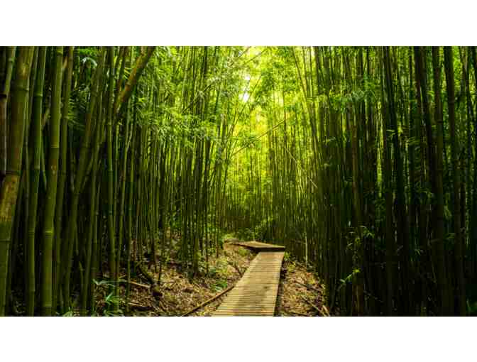 One Week In Maui, Hawaii for six people!