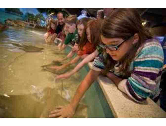 New England Aquarium - Four Passes