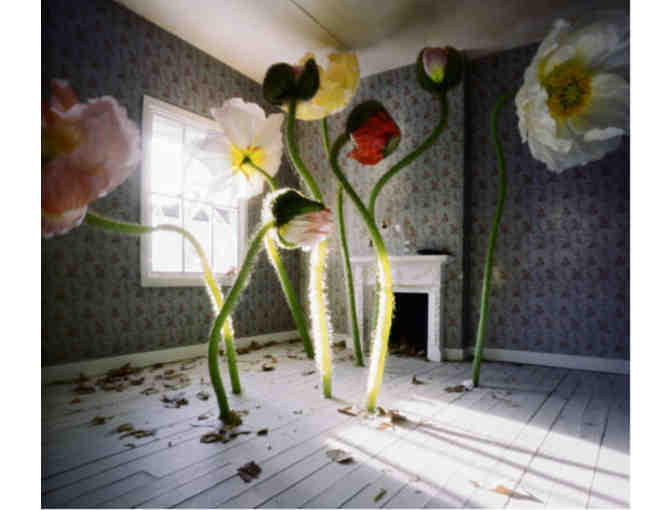 Peabody Essex Museum - Four General Admission Passes