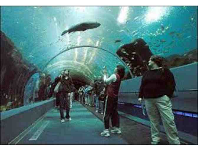 New England Aquarium - Two Passes