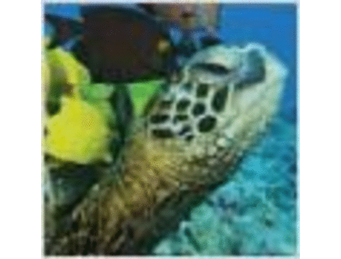 New England Aquarium - Two Passes