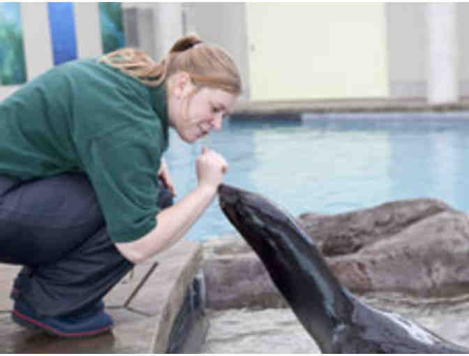 New England Aquarium - Two Passes