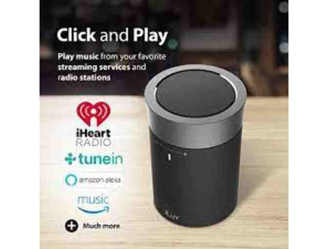 iLuv Portable Wi-Fi and Bluetooth Speaker