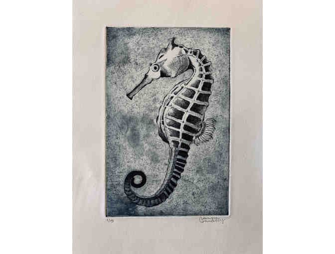 Sea Horse Etching - by Camryn Connolly - SJS Art Teacher