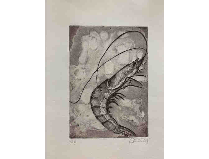 Shrimp Etching - by Camryn Connolly - SJS Art Teacher