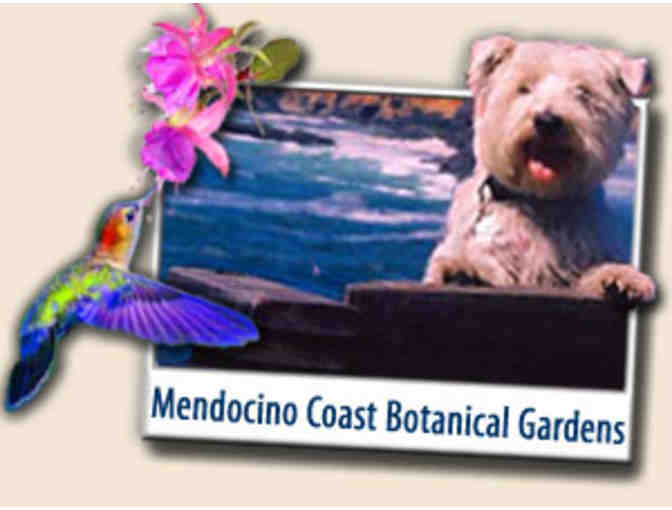 One Year Family Membership - Mendocino Coast Botanical Gardens
