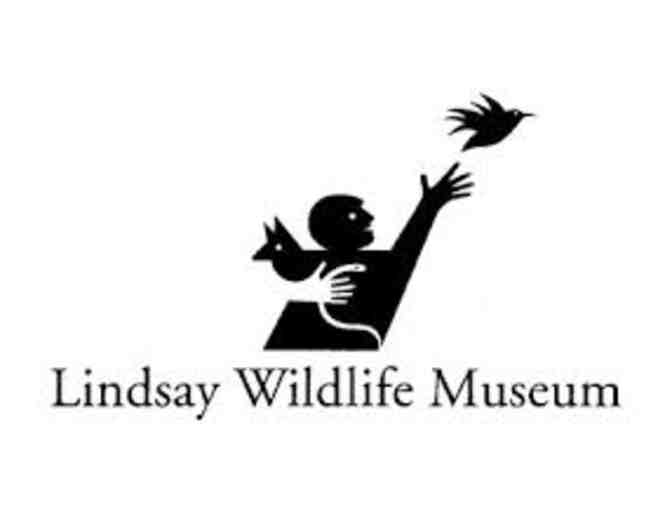 4 guest passes to Lindsay Wildlife Museum