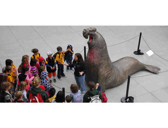 The Marine Mammal Center -- Docent-Led Tour for up to 2 People