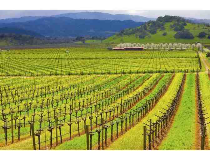Napa + Sonoma Wine Country Tour from Gray Line of San Francisco