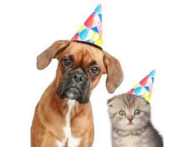 Birthday Party at the Marin Humane Society