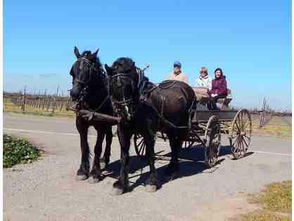 California Delta Horse Drawn Wagon Ride & Picnic for Two