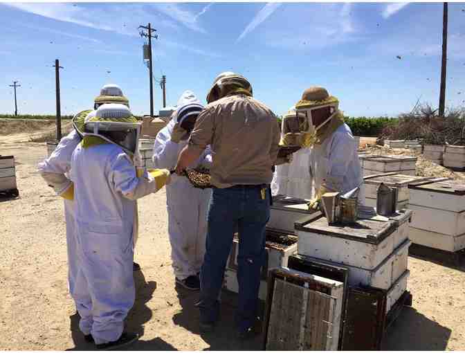 Beekeeping Experience and California Beekeeping Tour - Photo 3