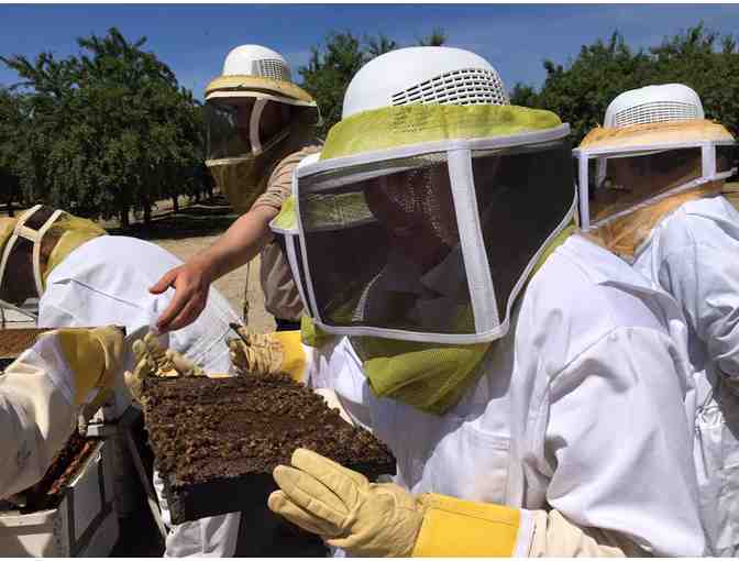 Beekeeping Experience and California Beekeeping Tour - Photo 1
