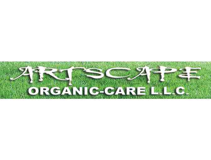 Artscape Organic Care LLC- Lawn/Landscape Consultation