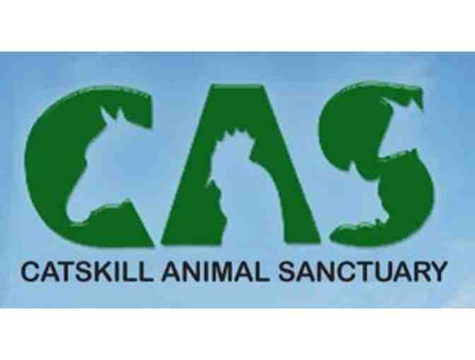 Catskill Animal Sanctuary Package- Stay and Enjoy the Animals!