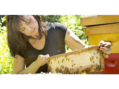 Honey Tasting Workshop for Two by Red Bee Apiary (Weston)