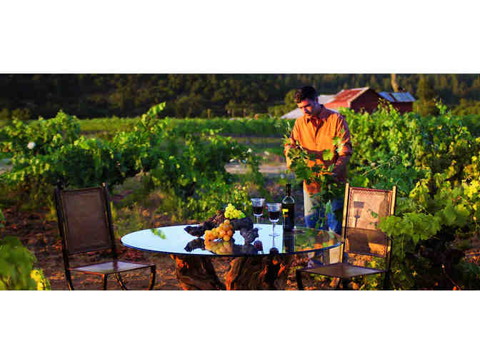 Napa Valley Epicurian Adventure with 3 night Stay & Airfare for 2