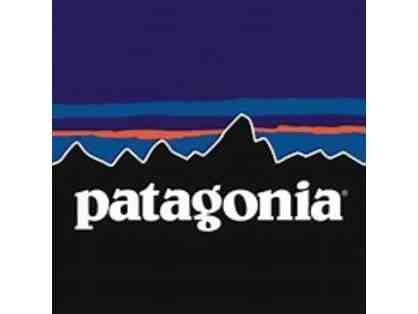 Patagonia Womens Lightweight Sychilla Snap -T Pull Over