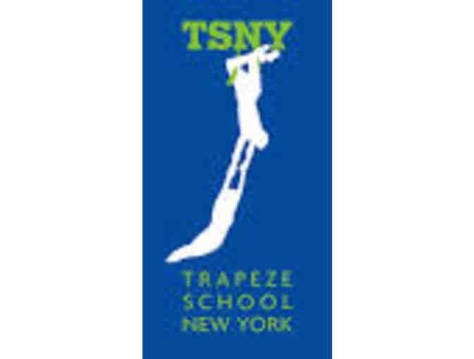 TSNY Chicago Trapeze School - one trapeze group class