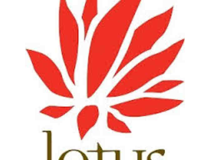 Lotus World Music and Arts Festival in Bloomington, IN - two tickets