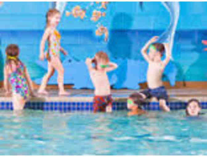 Chicago Blue Dolphin Swim lessons - 8 weeks of kids group classes and two private lessons