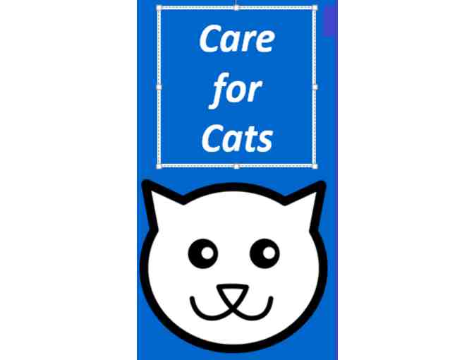Care for Cats basket includes 3 home visits of cat sitting